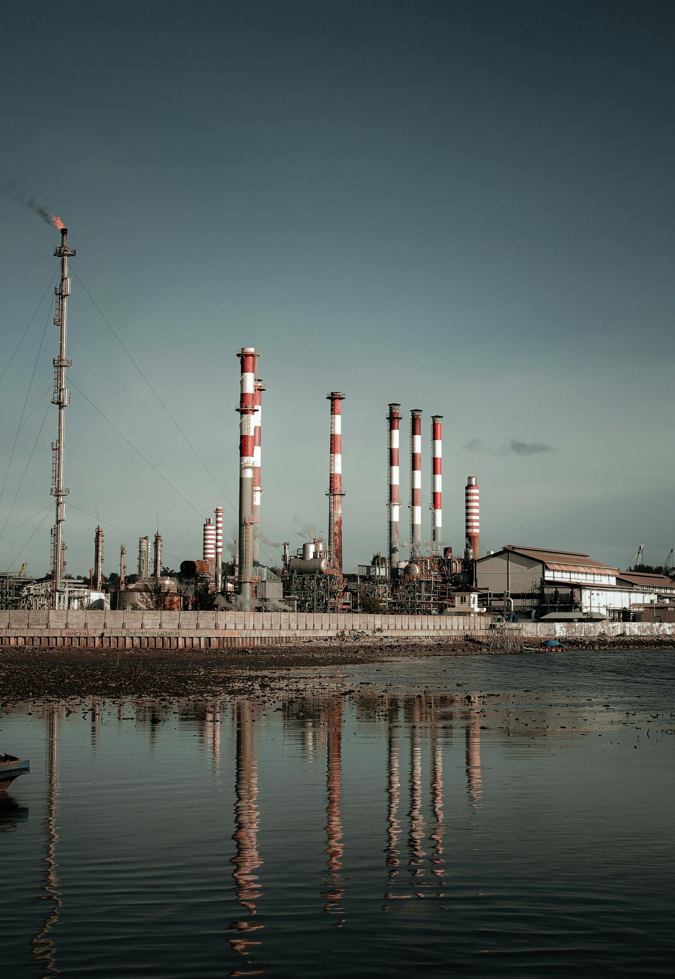 pexels-andiravsanjani-9252122