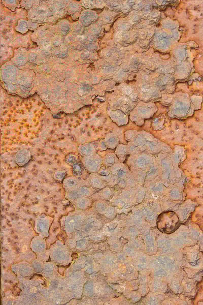 pexels-winkingkitten-15223107